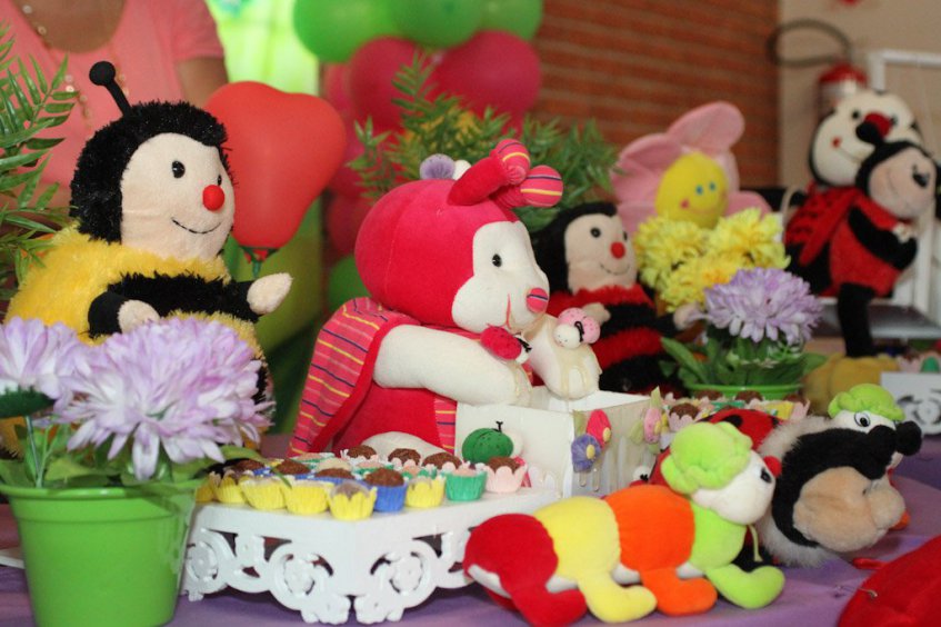 Fotógrafo Aniversários São Carlos e Araraquara