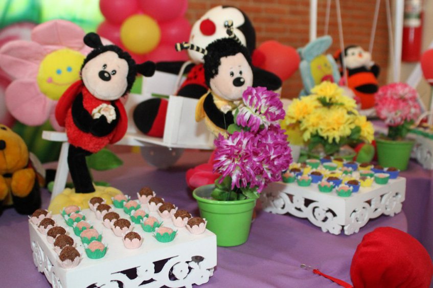 Fotógrafo Aniversários São Carlos e Araraquara