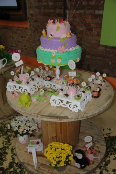 Fotógrafo Aniversários São Carlos e Araraquara