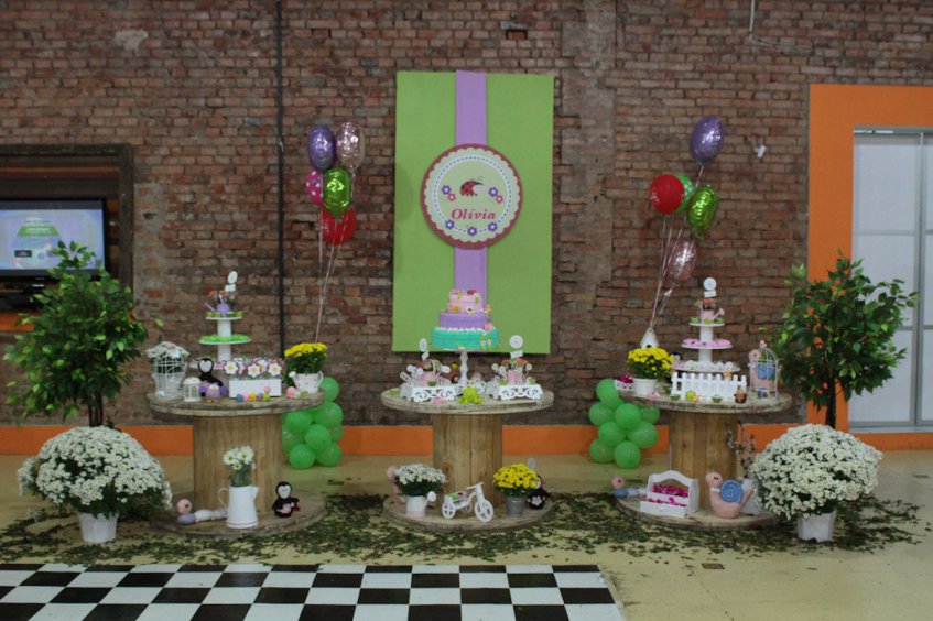 Fotógrafo Aniversários São Carlos e Araraquara