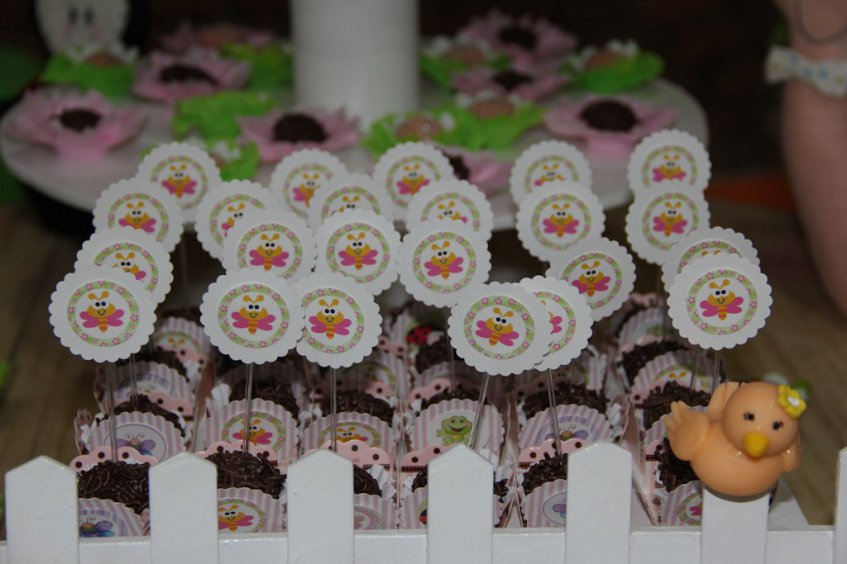 Fotógrafo Aniversários São Carlos e Araraquara