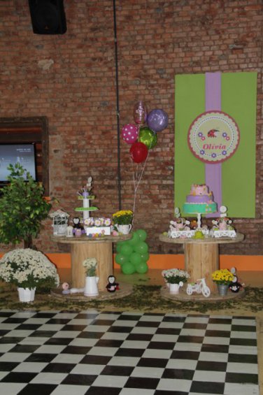 Fotógrafo Aniversários São Carlos e Araraquara