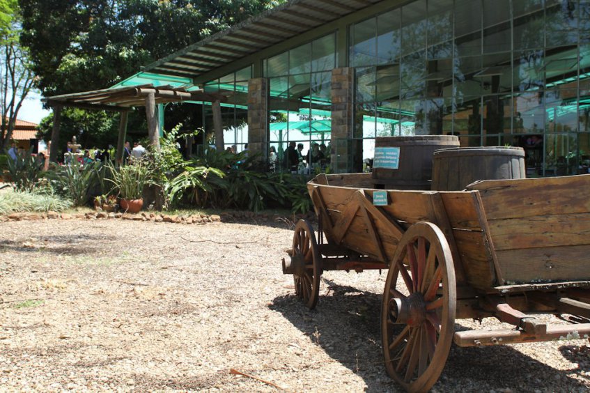 Fotógrafo Casamentos em São Carlos e Araraquara